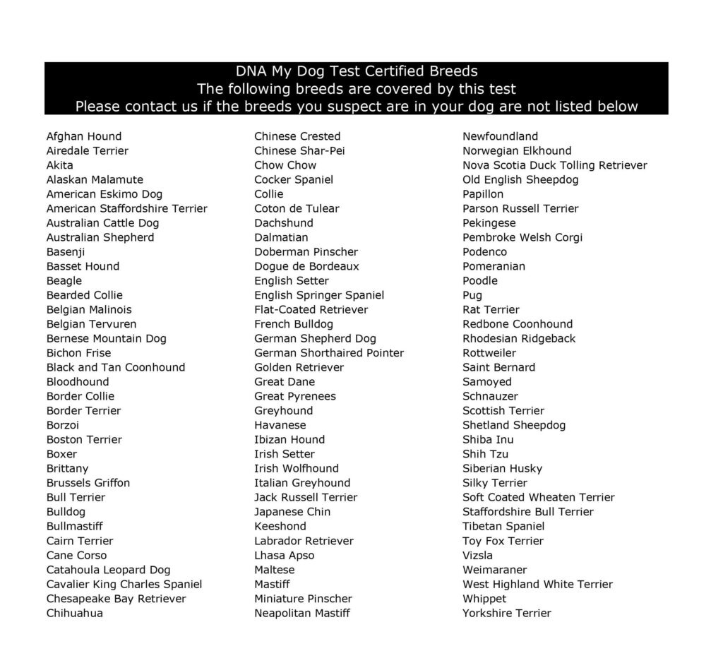 Dna for outlet dog breed identification